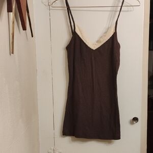 Brown  Chemise with V-Neckline
